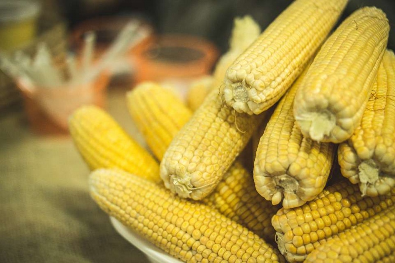 急性肾炎玉米可以吃的吗急性肾炎的原因是什么呢